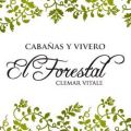 Cabañas El Forestal