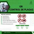 GB Control de Plagas