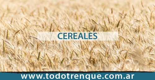 Cereales en Trenque Lauquen