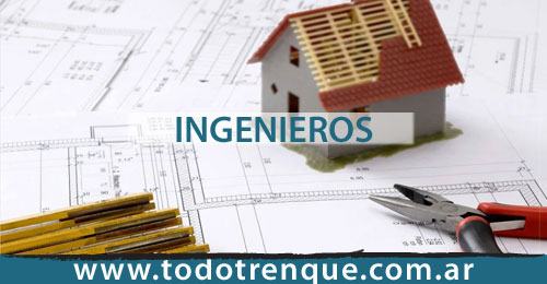 Ingenieros en Trenque Lauquen