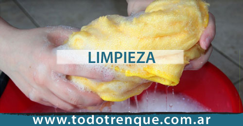 Limpieza en Trenque Lauquen