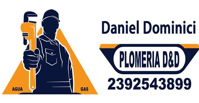 Daniel Dominici Plomero